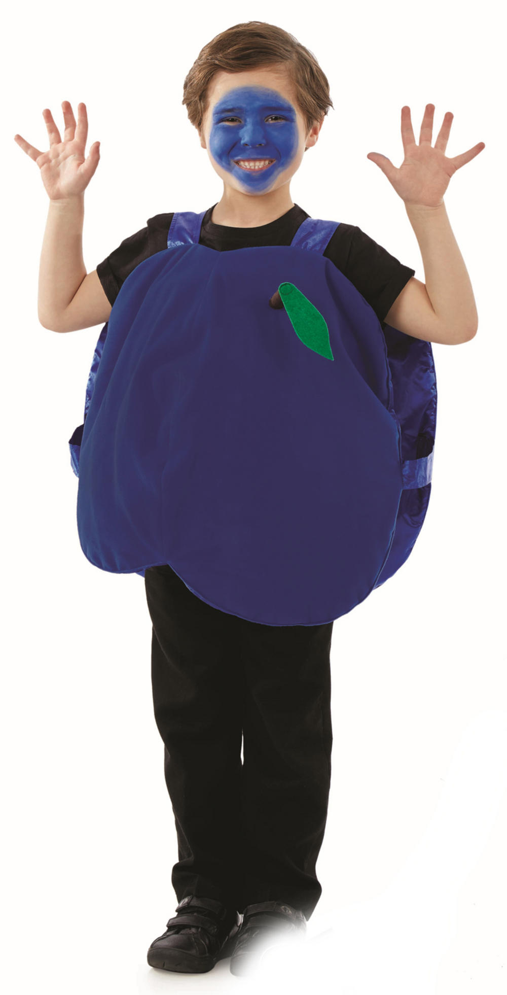 Blueberry Kids Costume Girl's World Book Day Fancy Dress Costumes